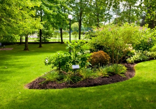 7 li Karışım Çim Tohumu